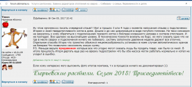 отзыв сибмама.png